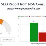 SEO Report NSG Consulting