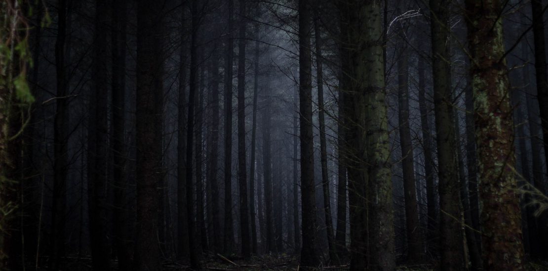 Dark Forest